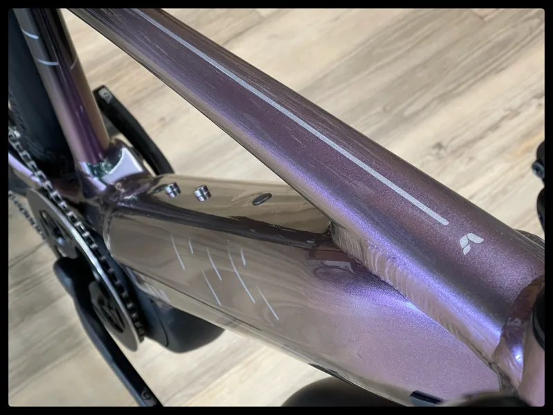 Thrive E+ EX Pro 25km/h X-Small Echeveria 2021-2